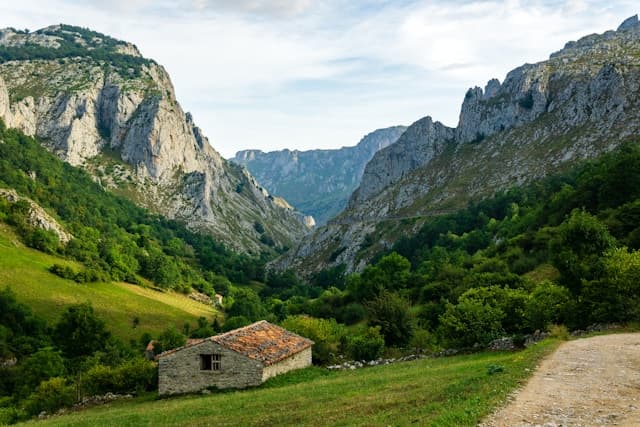 Picos de Europa